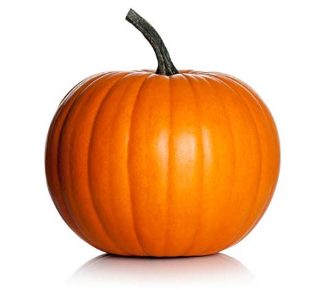 pumpkin stock photo